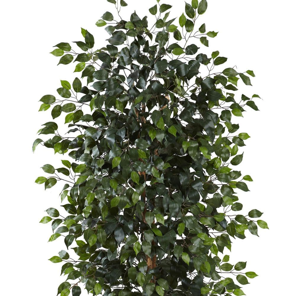 Tall Green Silk Ficus Tree in Black Plastic Pot