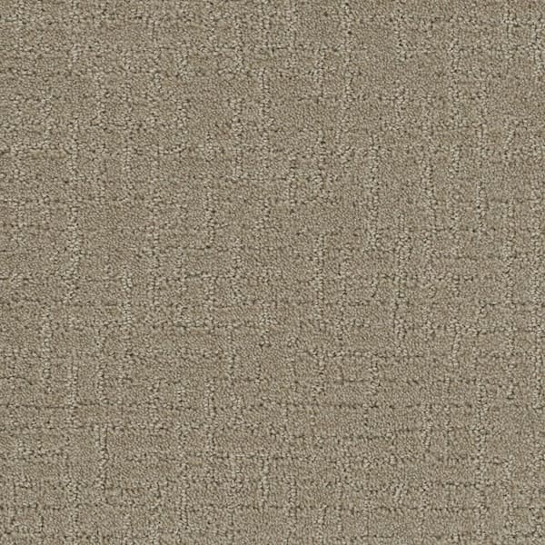 TrafficMaster 8 in. x  8 in. Pattern Carpet Sample - West Springs -Color Pathway