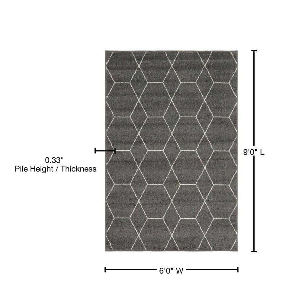 Dark Gray and Ivory Geometric Trellis 6' x 9' Area Rug