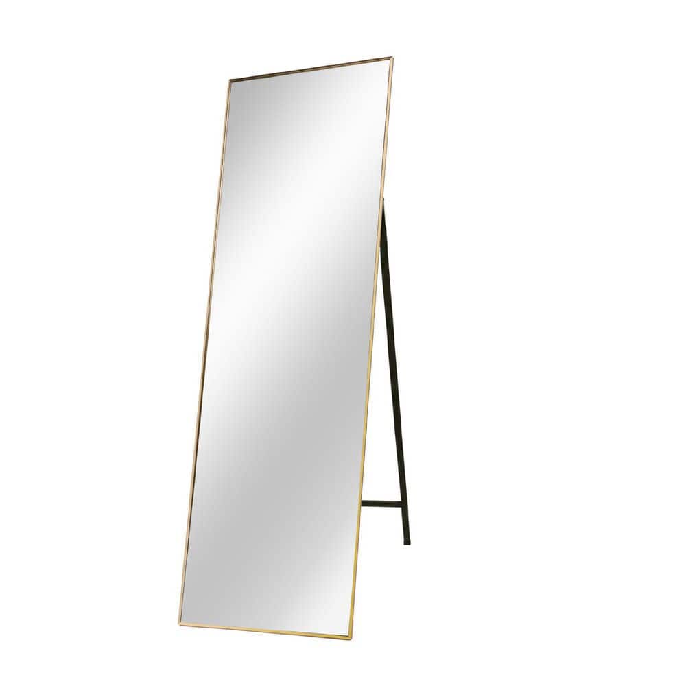 22 in. W x 65 in. H Large Rectangular Aluminum Framed Wall/Floor Bathroom V