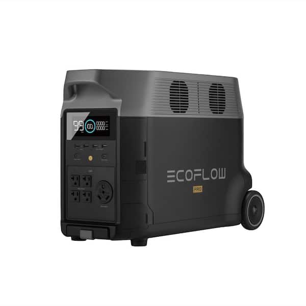 The NEW EcoFlow Delta 2 MAX - LFP Batteries - QUIET FANS - 1000 Watts of  Solar - FULLY TESTED! 