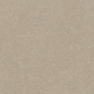 Blakely II - Toad-Beige 12 ft. 52 oz. High Performance Polyester Texture Installed Carpet