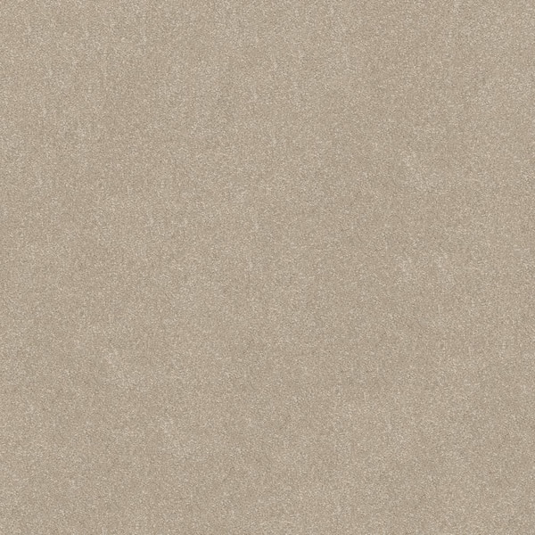 Lifeproof Blakely III - Toad-Beige 12 ft. 66 oz. High Performance Polyester Texture Installed Carpet