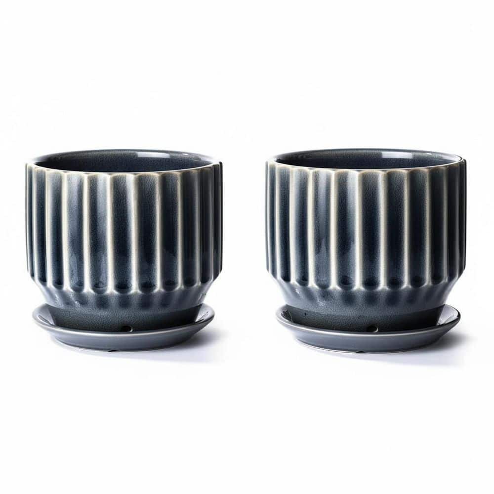2-Piece 6 in. Grey Ceramic Plant Pots (Crackle Glaze, Drainage, Saucer + Nets) price history on PriceWatchPro