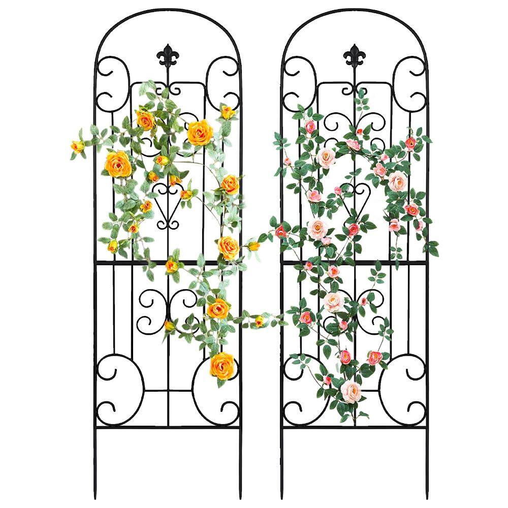 18 in. x 70 in. Metal Garden Trellis Heavy Duty Black 2-Piece price history on PriceWatchPro