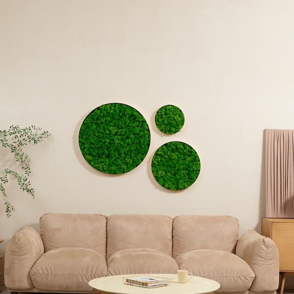 1 Pack Round Framed Moss Metal Gold and Green Wall Decor Wall