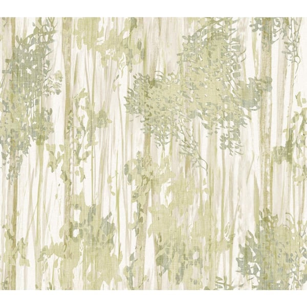 Green Aspen Grove Green Non-Pasted Non-Woven Matte Wallpaper