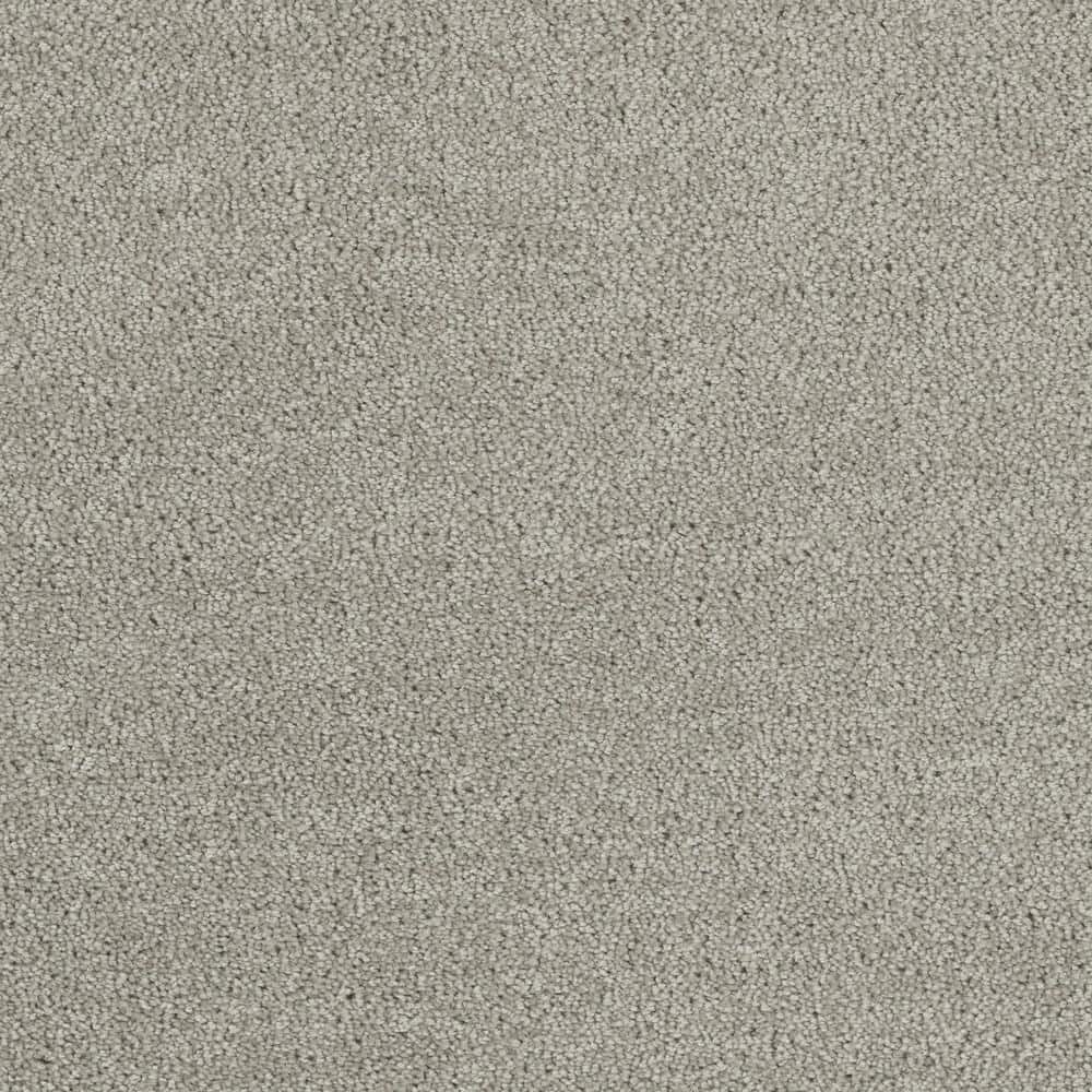 8 in. x  8 in. Texture Carpet Sample - Moonlight -Color Glisten price history on PriceWatchPro