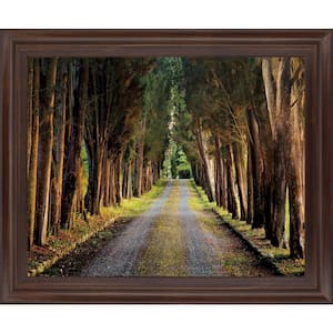 28 in. x 34 in. "Tree Tunnel" By Michael Tunnel and Mossy Oak Native Living Framed Print Wall Art
