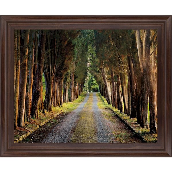 Classy Art 28 in. x 34 in. "Tree Tunnel" By Michael Tunnel and Mossy Oak Native Living Framed Print Wall Art