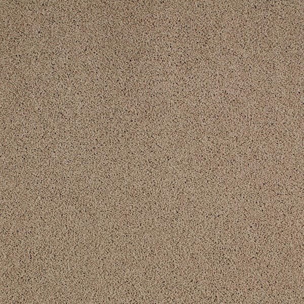 Lifeproof with Petproof Technology Cleoford Tender Moment Beige Triexta 47 oz. Texture Installed Carpet