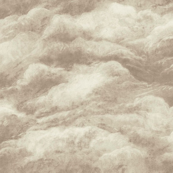 Nimbostratus Neutral Beige Cloud Wallpaper