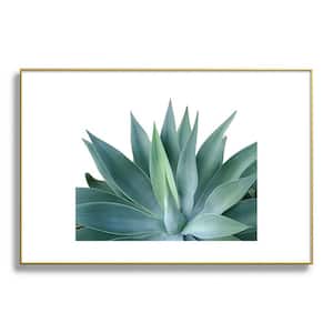 Gale Switzer Agave Blanco Metal Framed Nature Art Print 24 in. x 36 in.