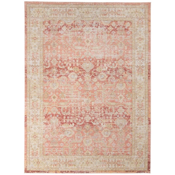 Amer Rugs Century 5 x 8 Salmon Pink/Ivory Bordered Pattern Area Rug for High Traffic Living Room Dining Room Bedroom