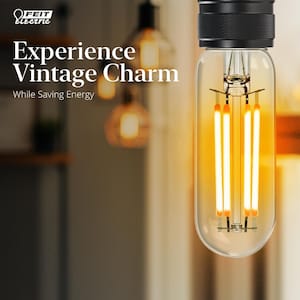 40-Watt Equivalent T6 Dimmable Straight Filament Clear Glass E12 Candelabra Edison LED Light Bulb, Warm White (4-Pack)