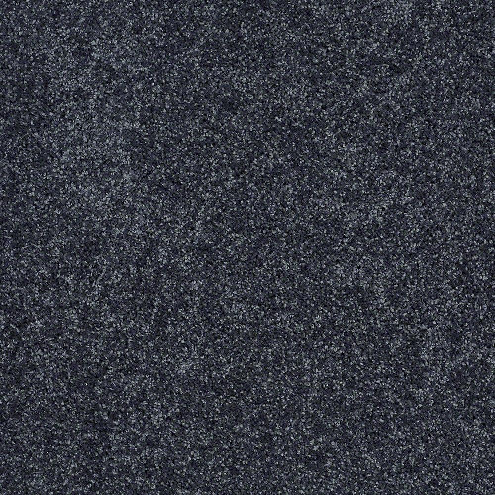 8 in. x 8 in. Texture Carpet Sample - Palmdale II - Color Sail Boat price history on PriceWatchPro