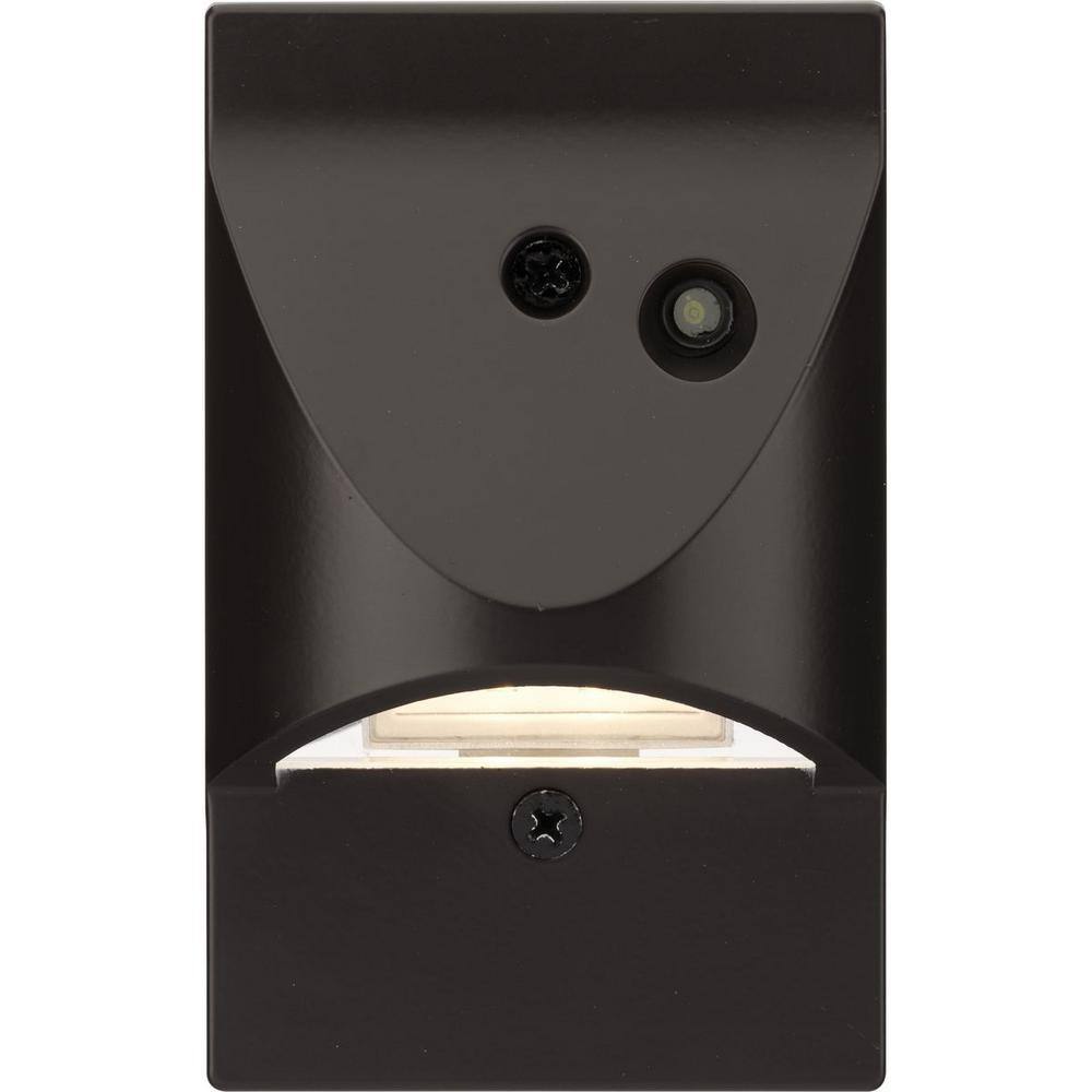 Antique Bronze Dimmable LED Step/Wall Light
