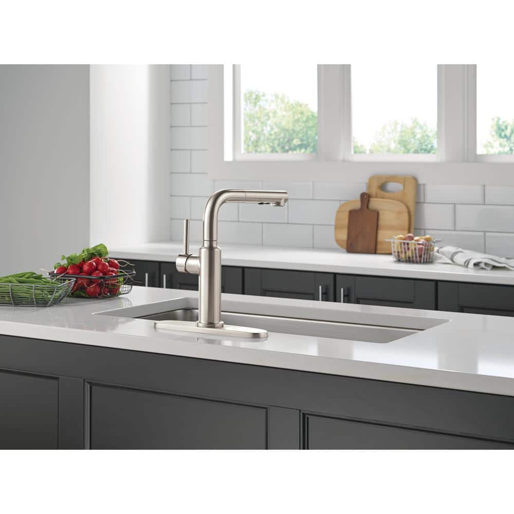 Daneri Brushed Nickel Pull-Out Kitchen Faucet with Lever Handle