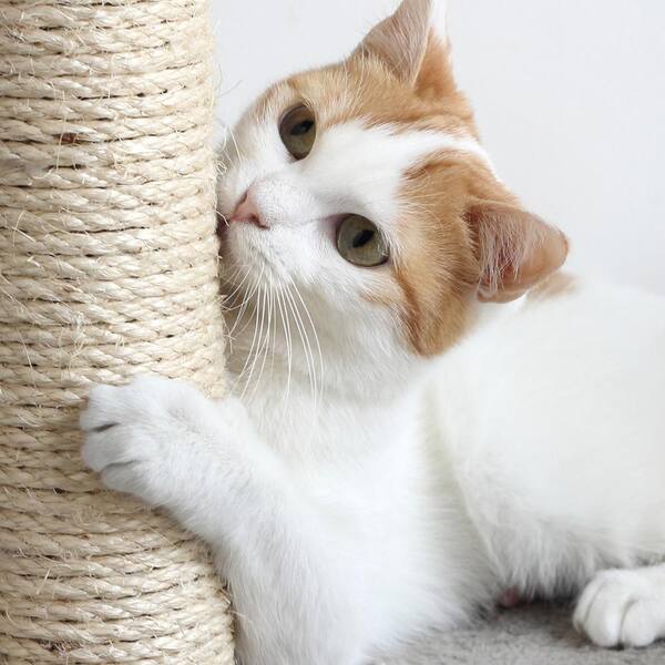 home depot cat scratching post