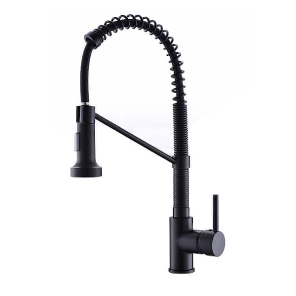 Single Handle Pull-Down Sprayer Kitchen Faucet with Flexible and Power Clean in Matte Black