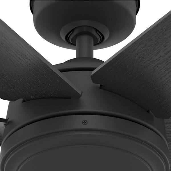 Hunter - Jetty 52 in. Outdoor Matte Black Ceiling Fan with Wall Control For Patios or Bedrooms