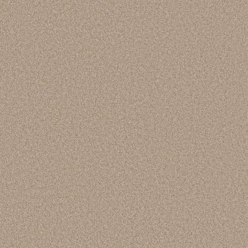 8 in. x 8 in. Texture Carpet Sample - Coastal Charm II -Color Ecru price history on PriceWatchPro