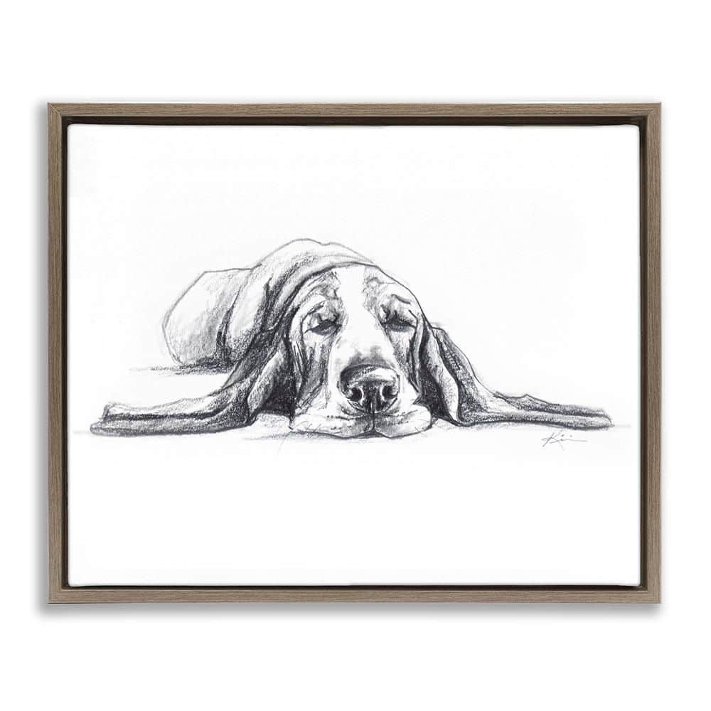 Bloodhound Pup Naptime by Lindsay Kivi Fine Art Brown Floater Frame Animal Graphic Art Print 25 in. x 31 in. price history on PriceWatchPro