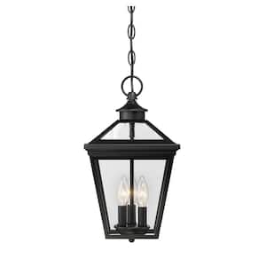 Ellijay 9 in. W x 15.75 in. H 3-Light Black Outdoor Hanging Lantern with Clear Glass Panes