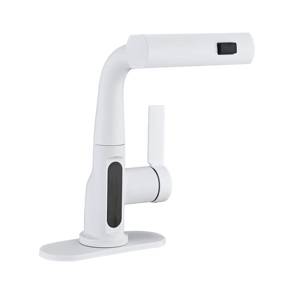 Single Handle Pull-Out Spout Single Hole Bathroom Sink Faucet with Deckplate Included in White price history on PriceWatchPro