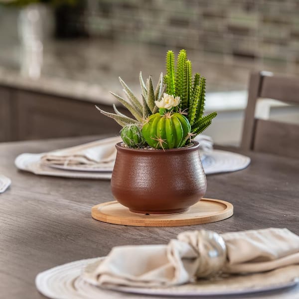 Vigoro 8 in. Bamboo Plant Saucer BBS8VG - The Home Depot