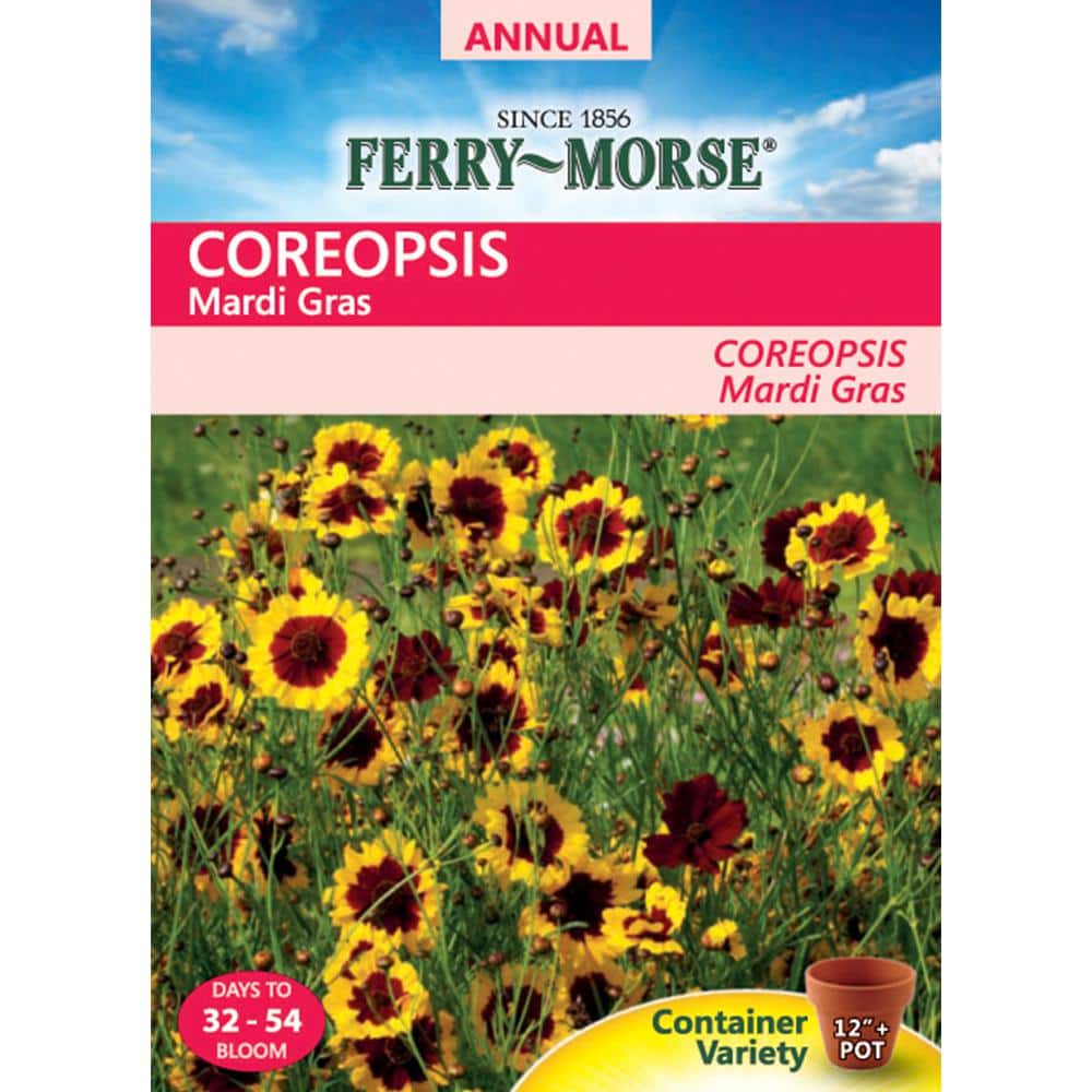 Threadleaf Coreapsis Threadleaf Coreopsis Seeds