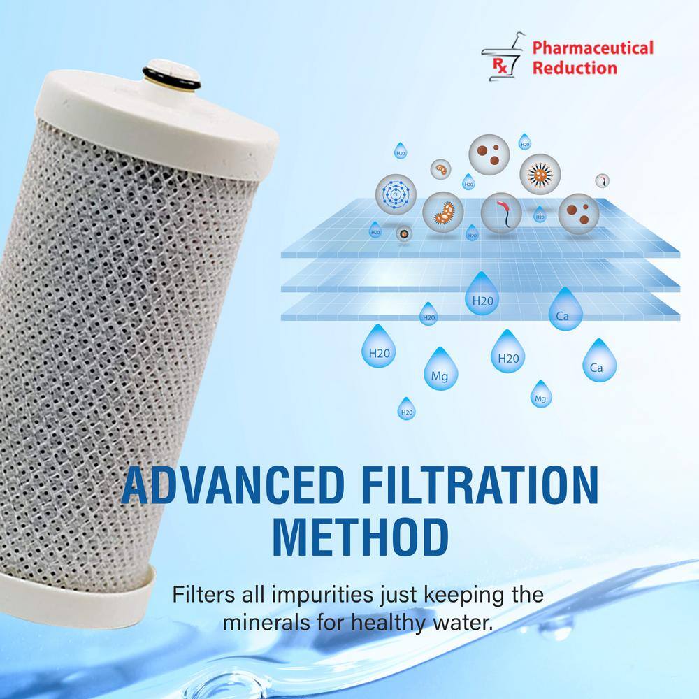 Swift Green Filters Coconut Shell Activated Carbon Refrigerator Filter