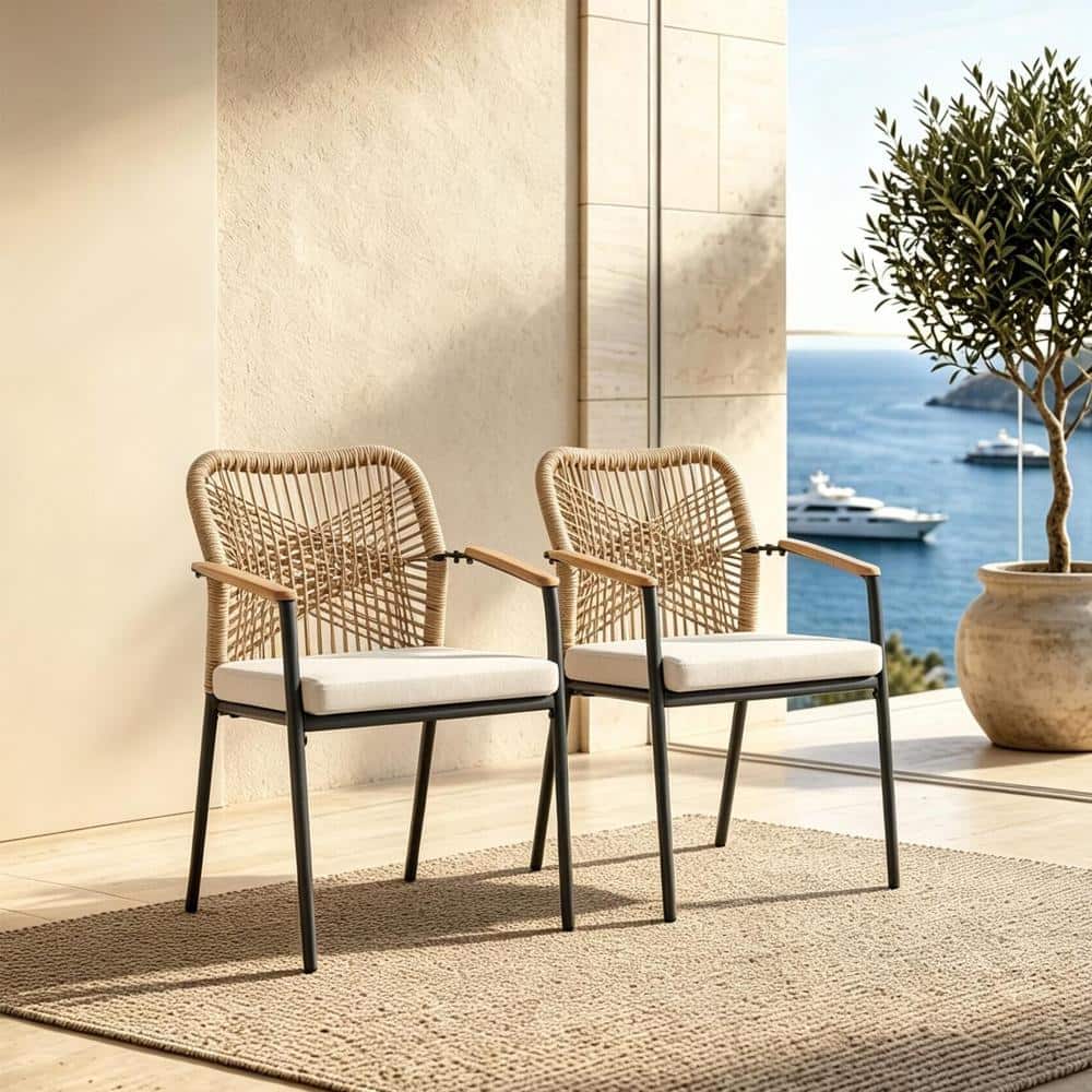 Outdoor Patio Dining Chairs, PE Rattan Woven Armchairs with Soft Cushion, Metal Frame Weatherproof Patio Chair, Set of 2 price history on PriceWatchPro