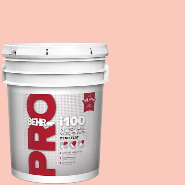 5 gal. #P180-2 Sherbet Fruit Dead Flat Interior Paint