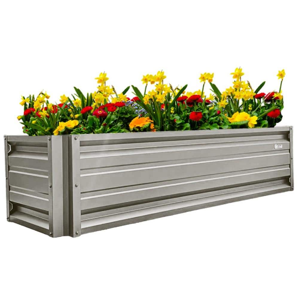 24 Inch By 72 Inch Rectangle Ash Grey Metal Planter Box PTTM2X6X18   Ash Grey Raised Planter Boxes Pttm2x6x18 Ashgrey 64 1000 