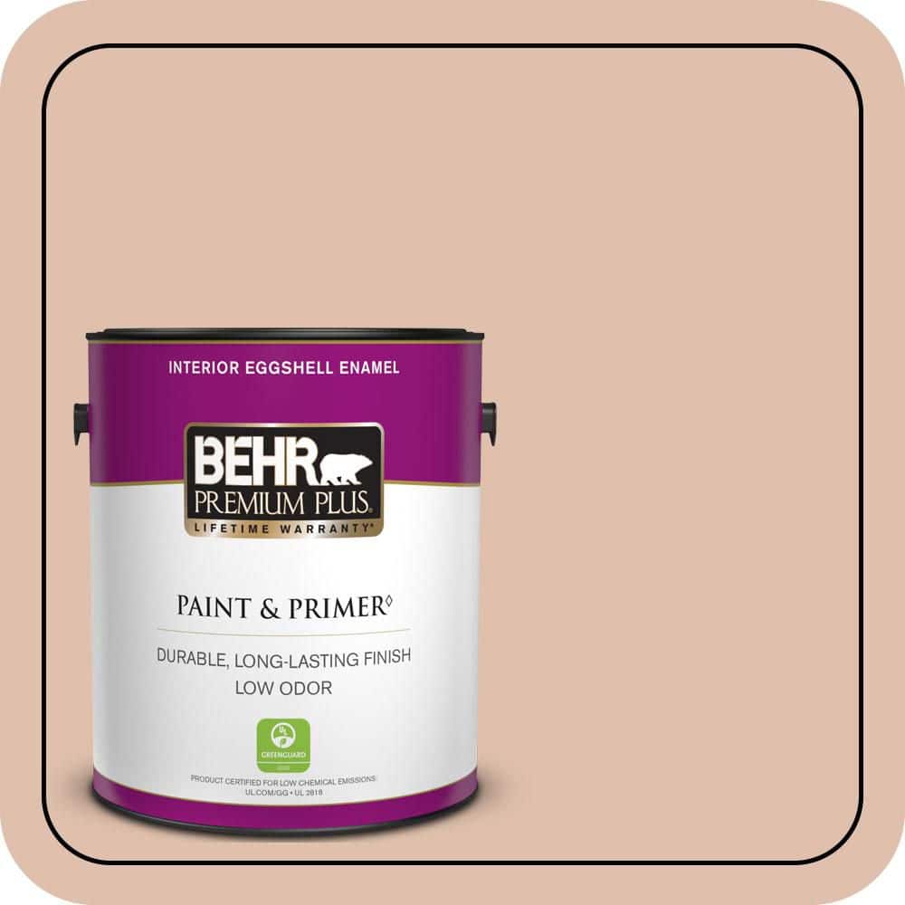 1 gal. #S200-2 Cinnamon Tea Eggshell Enamel Low Odor Interior Paint & Primer price history on PriceWatchPro