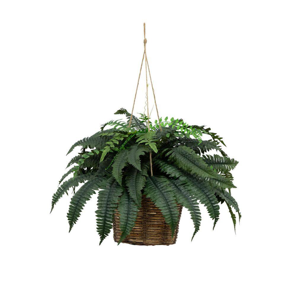 26 in. Green Indoor/Outdoor UV Resistant Artificial Fern in Hanging Basket price history on PriceWatchPro
