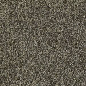 Isla Vista - Color Acorn Indoor/Outdoor Berber Brown Carpet