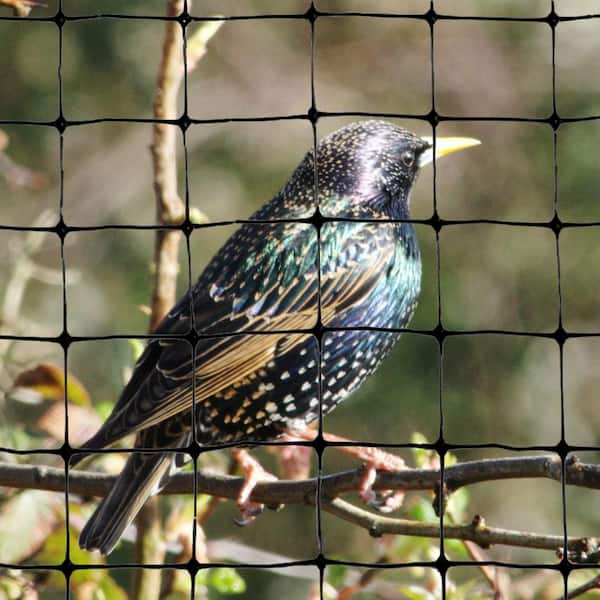 Bird。 Bird-X 200 ft. x 14 ft. Structural Bird Netting NET-STR-200
