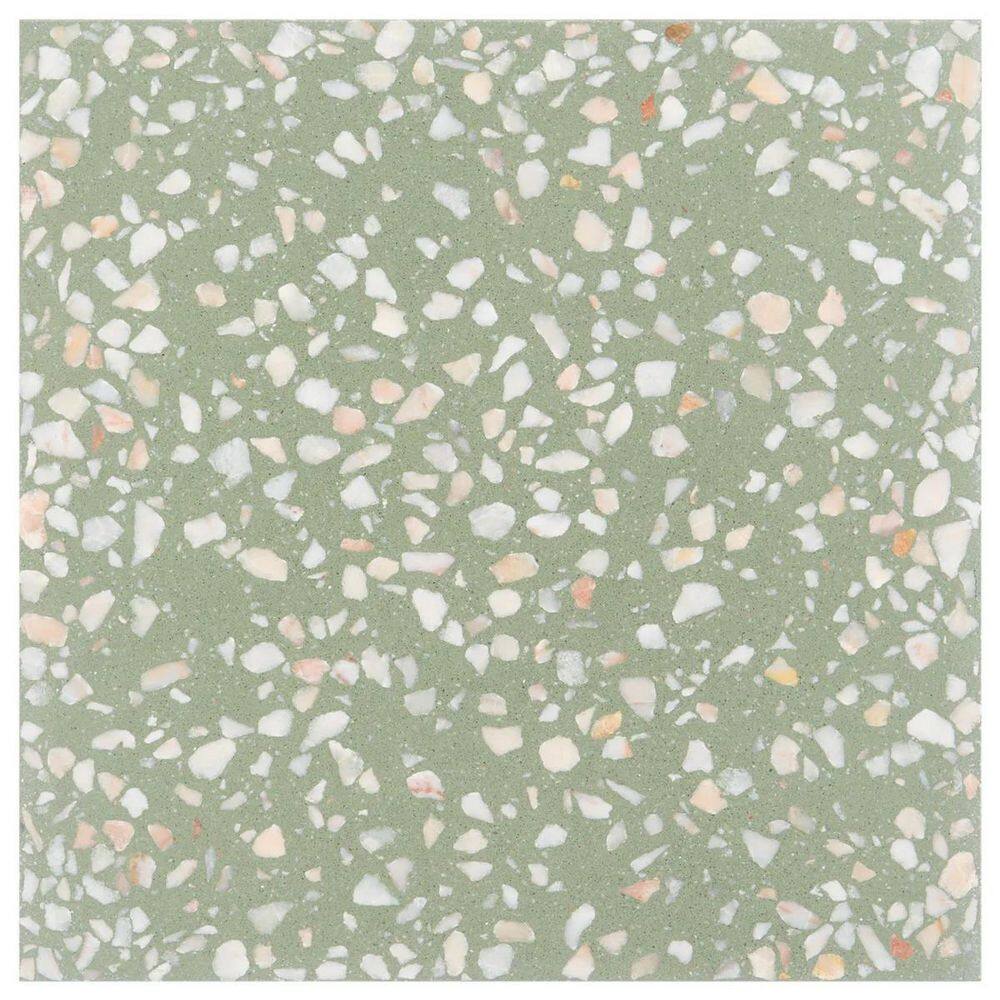 Raleigh Lisbon Green 4 in. x 0.7 in. Polished Terrazzo Floor and Wall Tile Sample price history on PriceWatchPro