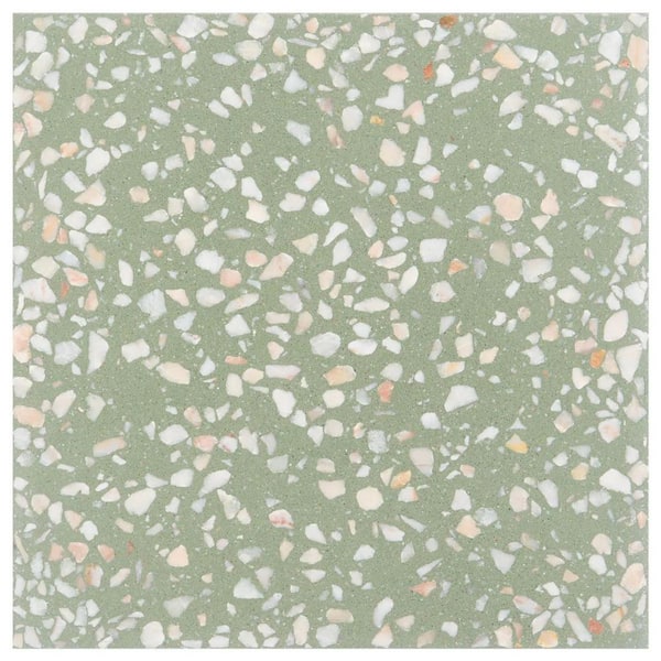Raleigh Lisbon Green 4 in. x 0.7 in. Polished Terrazzo Floor and Wall Tile Sample