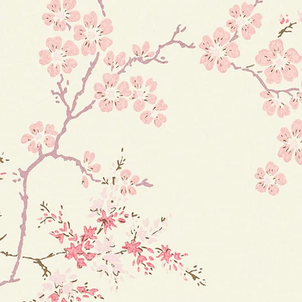 Blossom Phone Wallpaper Backgrounds - Sophie Laura