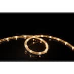 16 ft. Soft White All Occasion Indoor Outdoor 1/4 in. LED Rope Light 360Directional Shine Decoration (2-Pack)