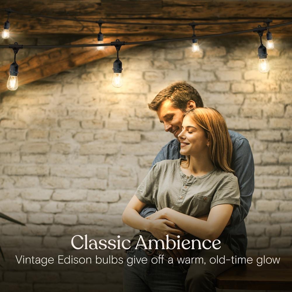 Brightech 7-Bulb LED Ambience Pro 1W 24ft 2700K S14 Indoor Outdoor Plug-in Hanging String Lights Clear Bulb Black Wire