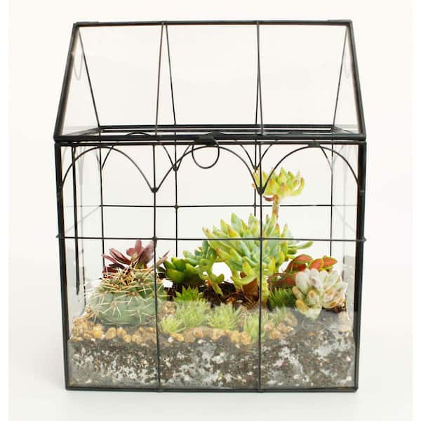 Large glass terrarium metal sold frame