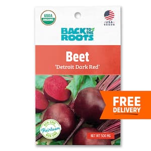 Organic Detroit Dark Red Beets Seed (1-Pack)