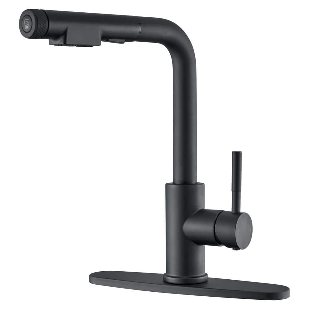 Matte Black Stainless Steel Pull-Out Spray Kitchen Faucet