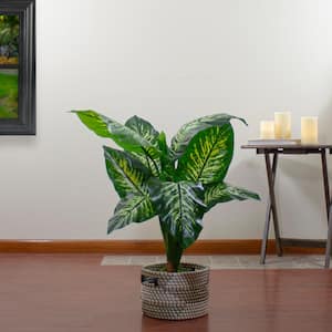 36" Artificial Green and Ivory Variegated Leaf Dieffenbachia Potted Plant