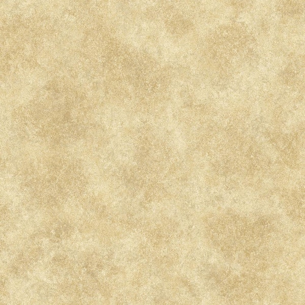 just an old and worn parchment paper background texture