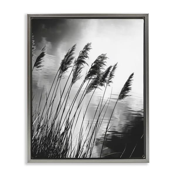 Stupell Industries Stark Contrast Wheat by Petal Prints Design Gray Floater Frame Nature Graphic Art Print 21 in. x 17 in.